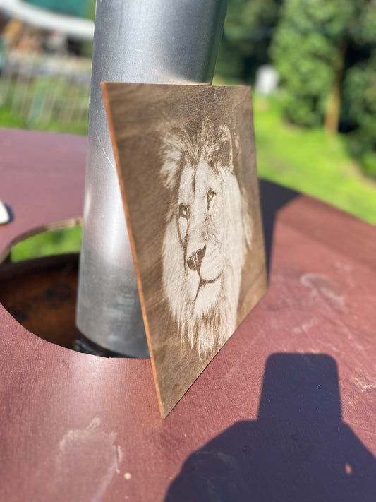 Löwenbild
