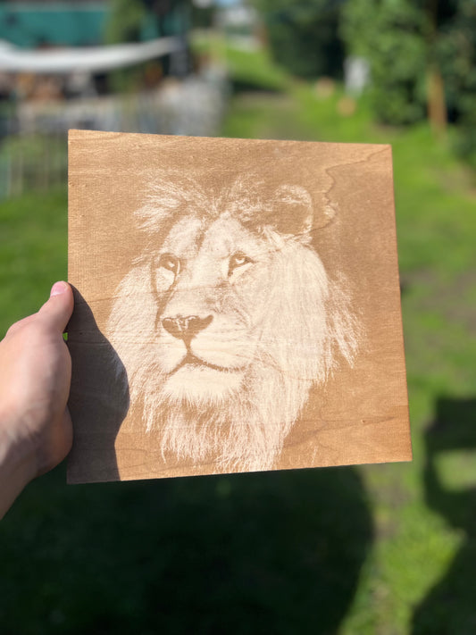 Löwenbild